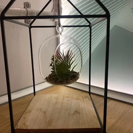 Skylight Loft * קלוז'-נאפוקה