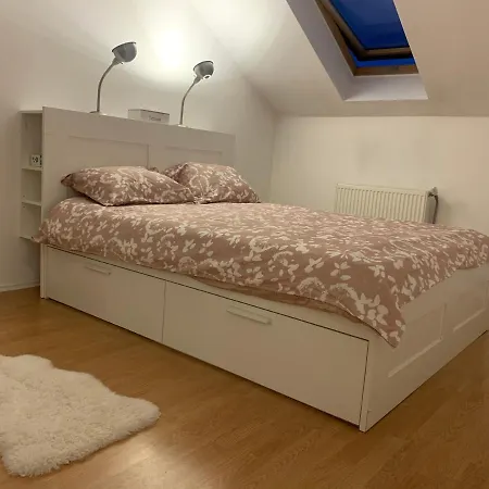 Skylight Loft Lejlighed Cluj-Napoca